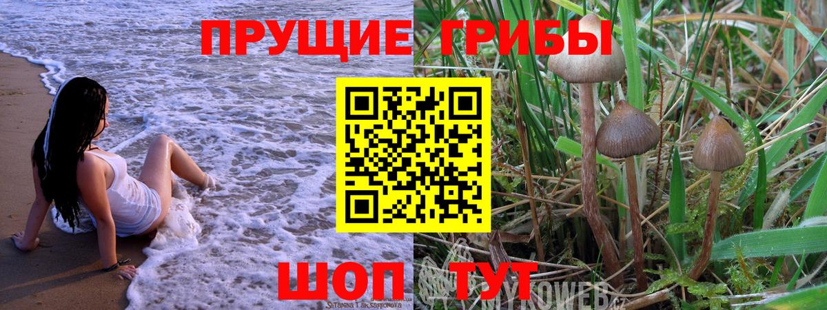 Псилоцибиновые грибы Magic Shrooms  Вход с VPN  Свободный 